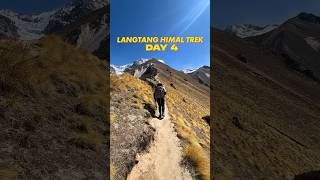 Day 4 of Langtang Trek travelvlog nepal travelnepal langtang trekking langtangtrek [upl. by Ecirtac]