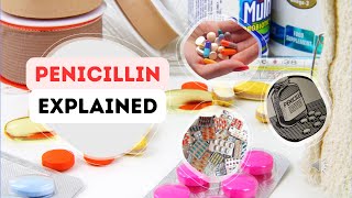 Penicillin  Antibiotics Explained  Mechanism of Action  Pharmacology [upl. by Lynnworth]