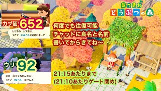 【あつ森】2024114 カブ価652ampウリ902115あたりまで【チャットに島名と名前書いてからきてね〜】 [upl. by Amalee]