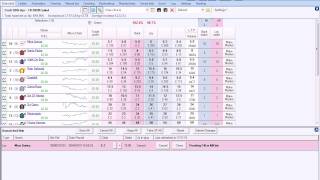 Betfair trading  Using a spreadsheet to exit your position at the off [upl. by Minor]