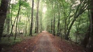 Amsterdamse Bos ritje op de fiets herfst 2024 Cycling trip fall 2024 [upl. by Ahselyt]