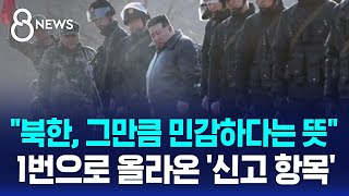 quot북한 그만큼 민감하다는 뜻quot…1번으로 올라온 신고 항목  SBS 8뉴스 [upl. by Hock]