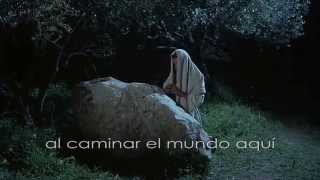 Musica Cristiana  Cordero de Dios [upl. by Jacques]