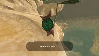 Korok seeds  South Lake  Akkala Tower 7  Zelda BOTW [upl. by Eselrahc]