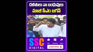 Negligence by Government Atrocities Against Dalit Women  Shorts Sscdigital Balannamuchatlu [upl. by Prima]