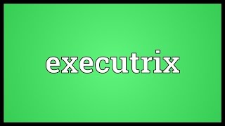 Executrix Meaning [upl. by Stavros]