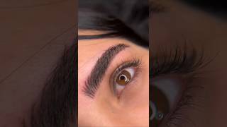 Beautiful micro blading short [upl. by Ettenawtna546]