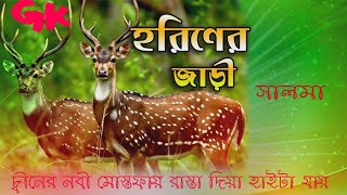 দ্বীনের নবী মোস্তফায় রাস্তা দিয়া হাইটা যায়  সালমা ইসলামী Dener nobi mostofa rashta diya haita jay [upl. by Nomi]