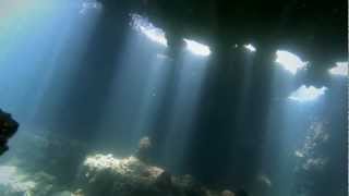 Diving at the Tangalooma Wrecks Queenaland [upl. by Ellesor824]