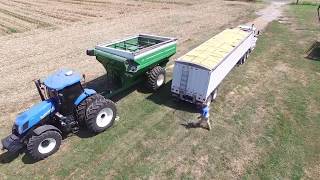 Griggs Farms LLC 2017 Corn Harvest [upl. by Reggis176]