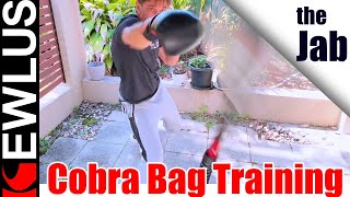 Cobra Bag Training Jab Tips for Beginners [upl. by Nichy527]