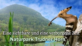 Naturpark Trudner Horn  geosfilm [upl. by Ayr]