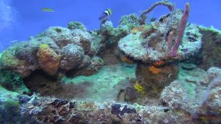 SCUBA Diving the MV Comberbach Wreck Long Island Bahamas [upl. by Suiravaj600]