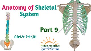 Anatomy of Skeletal System Sacrum Sternum amp Ribs Interesting Video with Amharic Speech Part 9 [upl. by Etiuqal]