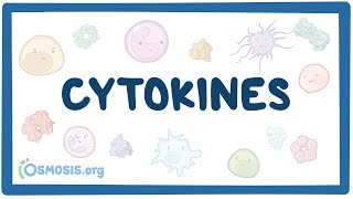 Cytokines [upl. by Airotnahs]