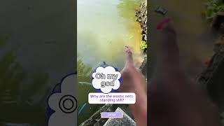 Cubpi teaches everyone how to retrieve objects that fall into the water Hilarious videotoys funny [upl. by Atenek]