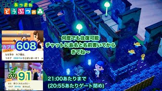 2024615【あつ森】カブ価608ampウリ912100あたりまで【チャットに島名と名前書いてからきてね〜】 [upl. by Gievlos]