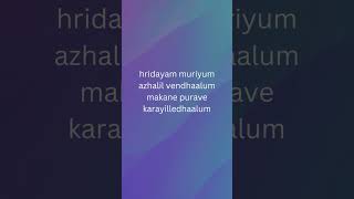 Hridayam muriyum vazha movie song [upl. by Mail]