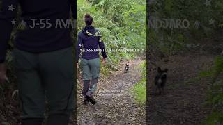 🏔️J55 KILIMANDJARO🏔️ Pourquoi je fais ça ⁉️ training trek cancerdusein [upl. by Candice]