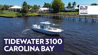 TIDEWATER 3100 Carolina Bay  Fishing Boat Review  The Boat Show [upl. by Asnarepse]