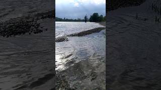 Strandbad Mannheim Hochwasser fließt ab [upl. by Strohben]