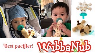 Best Infant Pacifier  WubbaNub Infant Pacifier [upl. by Gabbert]