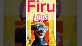 Firulais viralvideo memes video shorts firulais lays [upl. by Sheri547]