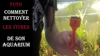 TUTO Comment nettoyer les vitres de votre aquarium [upl. by Fai253]