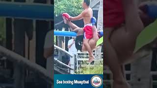 Sea boxing Muaythai  try not to laugh short clips funny [upl. by Ened464]