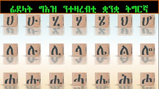 Geez Alphabet  Tigrigna Alphabet  ፊደላት ግእዝ  ፊደላት ትግርኛ ብ ሩታ ቴድሮስ ዝተዳለወ [upl. by Baldridge]