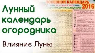 Как лучше применять лунный посевной календарь огородника [upl. by Freytag]