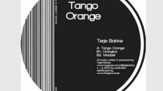 Terje Bakke Mozell SFLDD001 [upl. by Eaj]