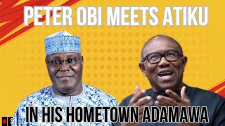 Peter Obi Meets Atiku In His Hometown In Adamawa WHAT’S COOKING [upl. by Duvall]