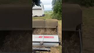 How to collect thatch  dethatching made easy [upl. by Jacki]