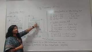 Ion Exchange Process by Dr Deepti Khare [upl. by Burlie]