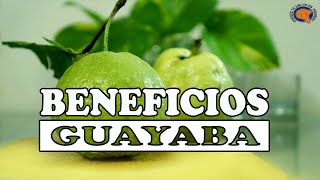 11 Beneficios y propiedades de la guayaba y cómo consumirla [upl. by Moyer]