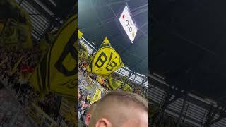 BVB vs Augsburg bvb [upl. by Jez]