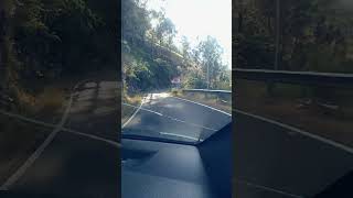 shortvideo vairalvideo vairalshort shorts pahari pahadi himachal local [upl. by Irpak]