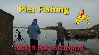 Fishing North East Scotland 🎣 Loads of Louping Sea Trout 🐟🐟 [upl. by Warila]