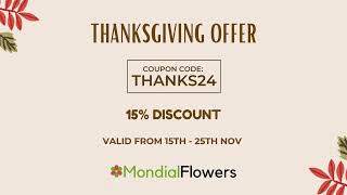 Thanksgiving 2024 Sale 15 Off  Mondial Flowers [upl. by Rhianna]