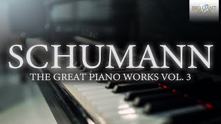 Schumann The Great Piano Works Vol 3 [upl. by Hardigg]