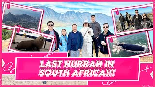 LAST HURRAH IN SOUTH AFRICA  Small Laude [upl. by Eissoj]