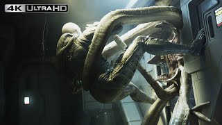 Prometheus 4K HDR  Engineer Vs Alien [upl. by Edrea]