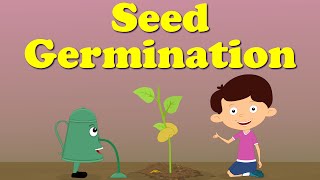 Seed Germination For Kids  Science  Grade 3 amp 4  TutWay [upl. by Jill]