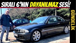 GÜNDELİK  BMW E46 330Ci  Tüketim Masraf Kronikler ve Her Şey [upl. by Atiuqihc]