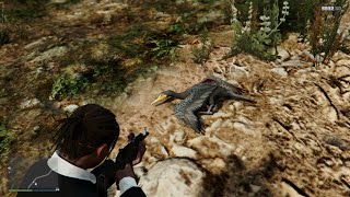 Where to find the Great Cormorant BIRD GTA V Online Wild life Photography [upl. by Shulem]