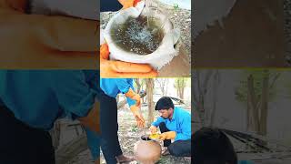 Natural pesticidepestcontroldeerghaayushnaturalfarmingorganicfarming [upl. by Behre]