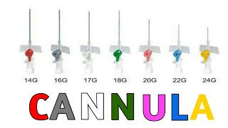 IV Cannula Sizes colortypes and uses [upl. by Atcliffe]