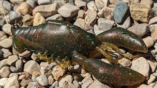 Catching Bass on the NEW Megabass Sleeper Craw [upl. by Uhej79]