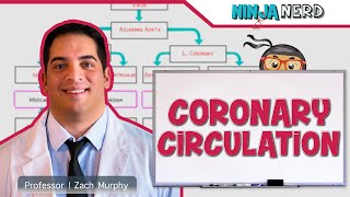 Circulatory System  Coronary Circulation [upl. by Leviralc]